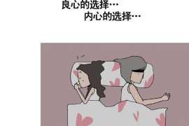 边坝婚外情取证